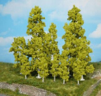 Bjørketrær 10stk 10-18cm (01322)