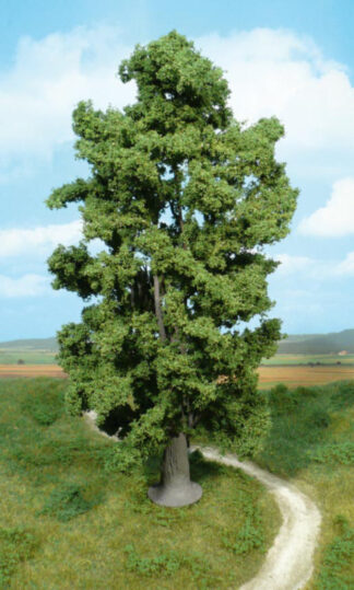 Felsenahorn 1x - 30cm (01942)