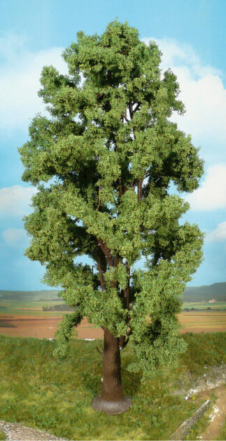 Bergahorn 1x - 35cm (01743)